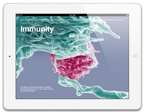 傳蘋果iPad 5將于9月發(fā)布 比前一代輕25%
