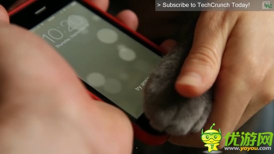 玩家測(cè)試iPhone5S解鎖 乳房腳趾鼻頭喵爪均可識(shí)別