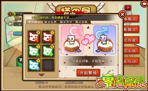 混亂的鬧貓季 《三國喵喵傳》貓寵暴動