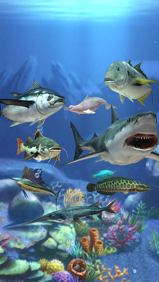 釣魚發(fā)燒友截圖欣賞