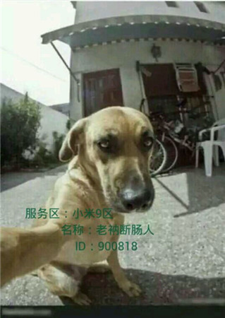 歡樂GO!《天天掛機(jī)》玩家曬標(biāo)志性建筑