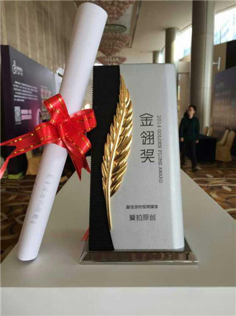 愛拍原創(chuàng)斬獲2014金翎獎(jiǎng) “最佳游戲視頻媒體”